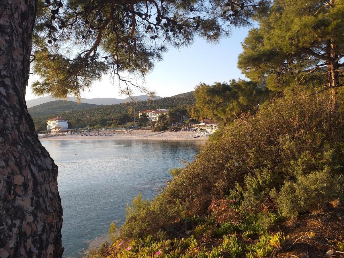 Beach Hotel Kapahi Pefkari Bagian luar foto